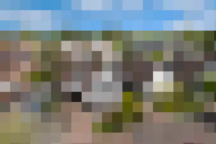 Paradijsvogel 1 Heerhugowaard thumbnail 48