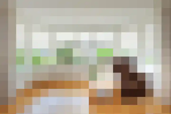 Paradijsvogel 1 Heerhugowaard thumbnail 5
