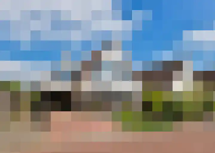Paradijsvogel 1 Heerhugowaard thumbnail 54