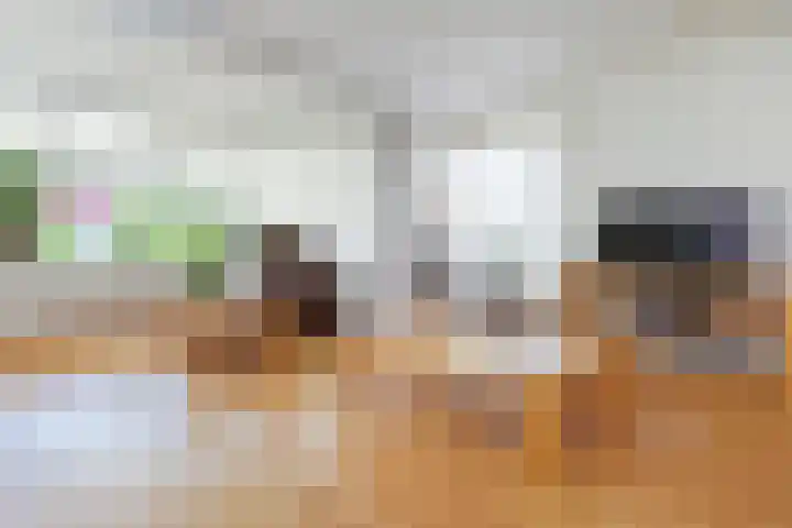 Paradijsvogel 1 Heerhugowaard thumbnail 6