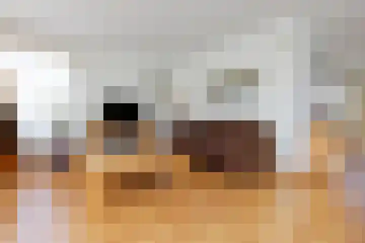 Paradijsvogel 1 Heerhugowaard thumbnail 7