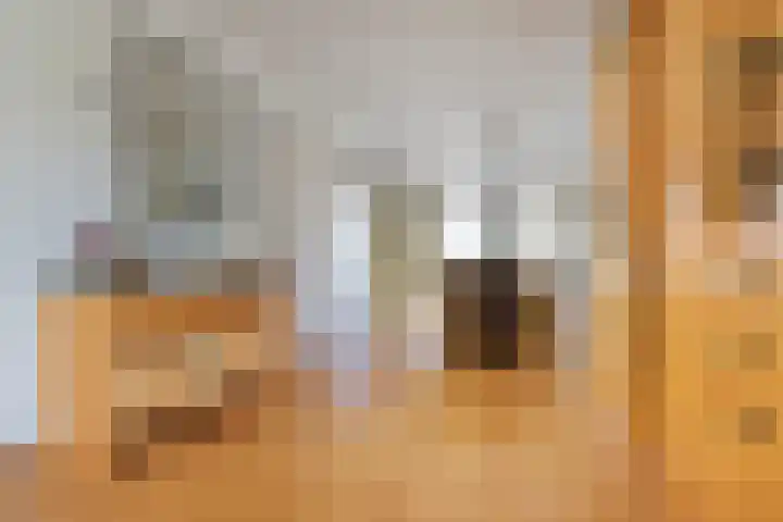 Paradijsvogel 1 Heerhugowaard thumbnail 8