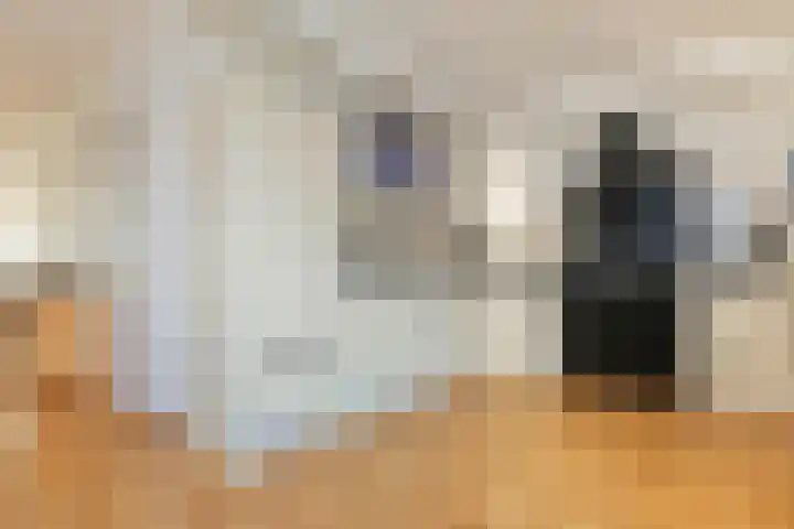 Paradijsvogel 1 Heerhugowaard thumbnail 9