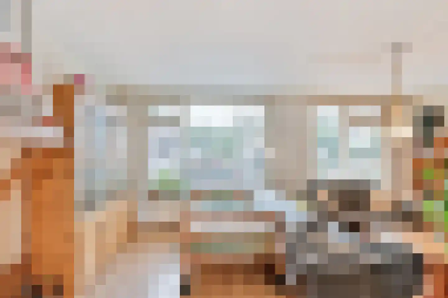 Paradijsvogel 54 Heerhugowaard thumbnail 10