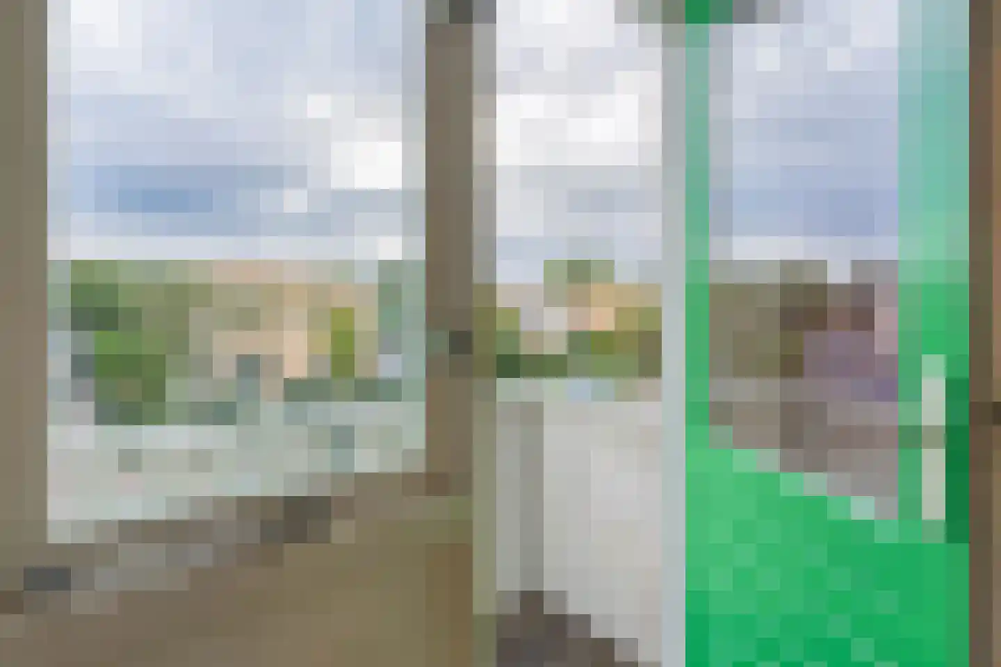Paradijsvogel 54 Heerhugowaard thumbnail 24