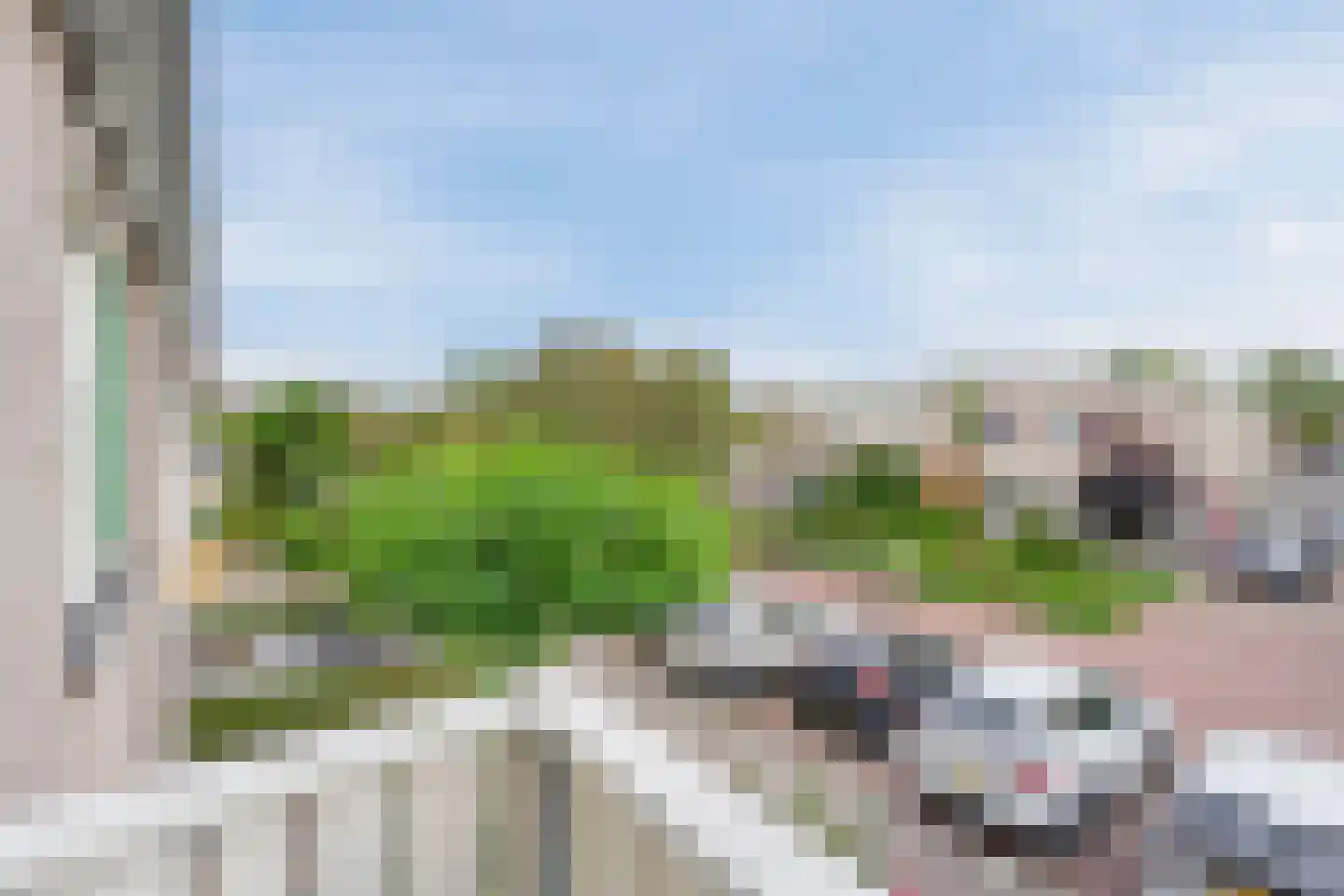 Paradijsvogel 54 Heerhugowaard thumbnail 25
