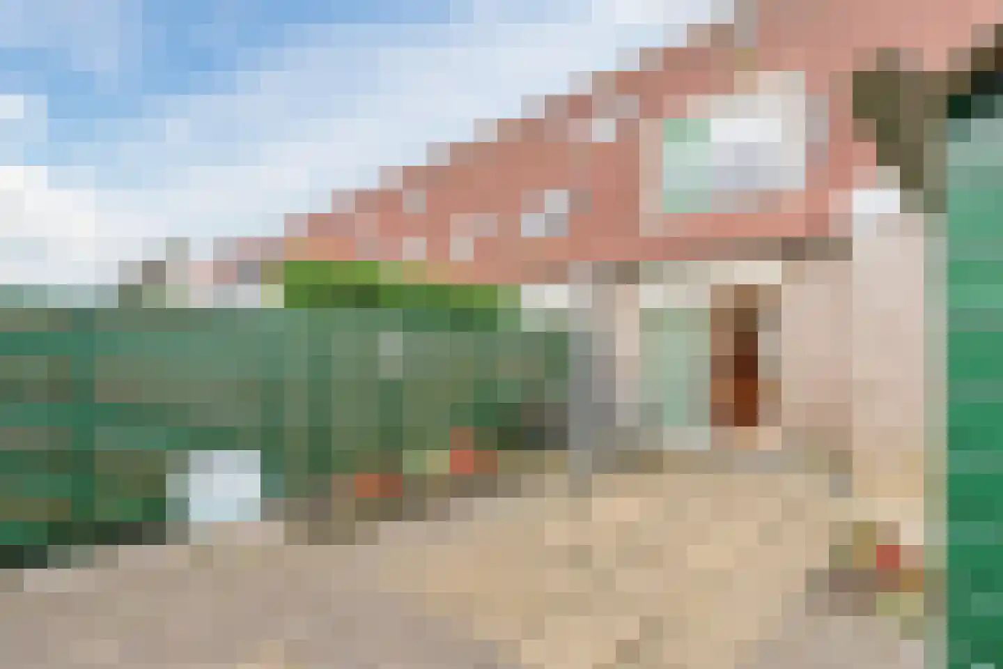 Paradijsvogel 54 Heerhugowaard thumbnail 41
