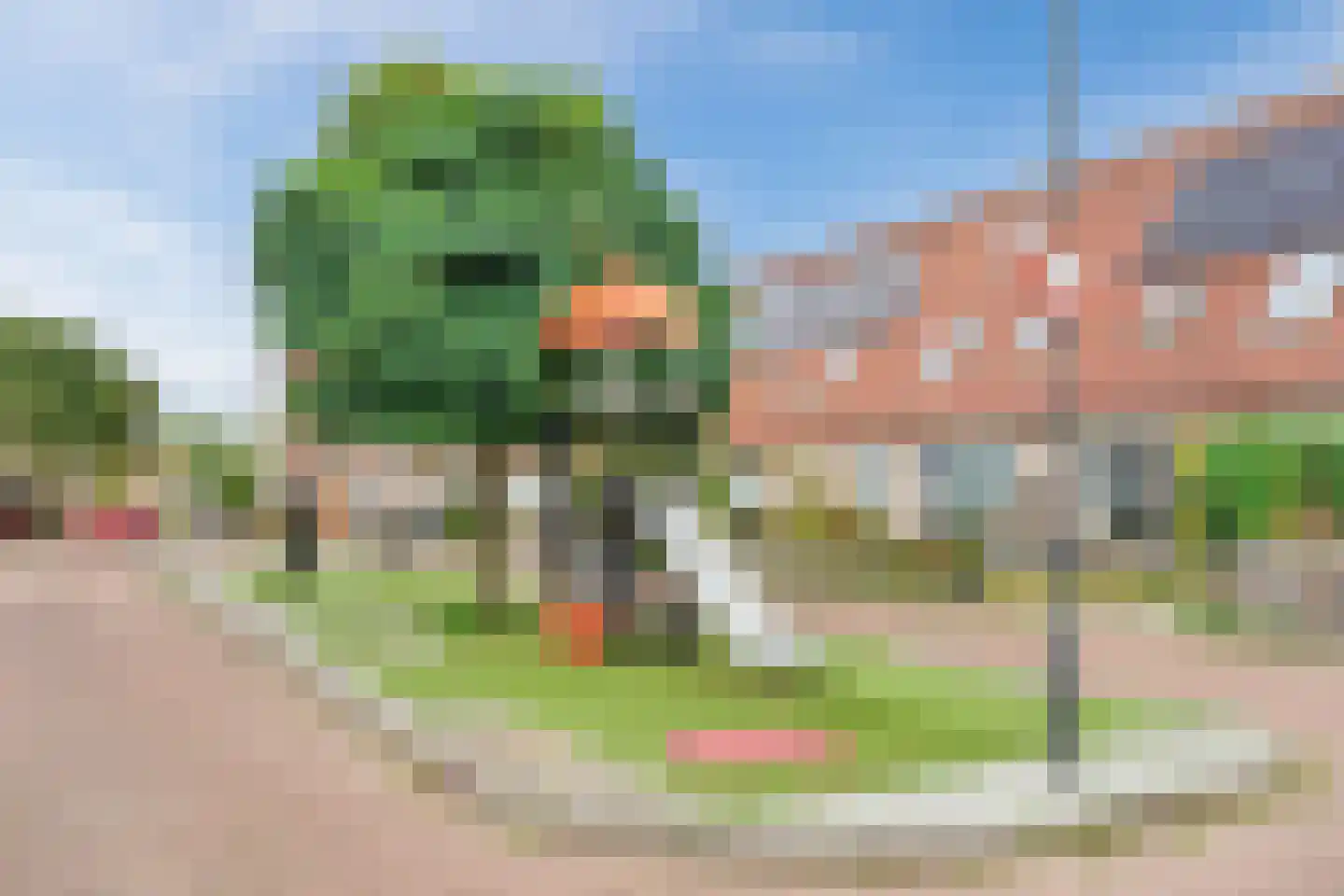 Paradijsvogel 54 Heerhugowaard thumbnail 44