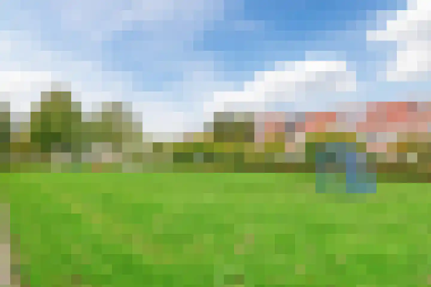 Paradijsvogel 54 Heerhugowaard thumbnail 45