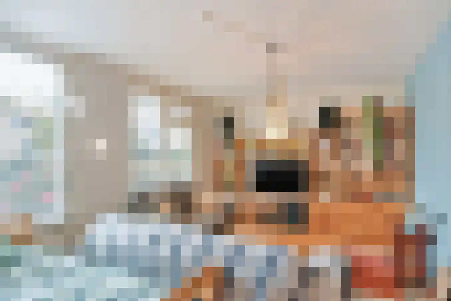 Paradijsvogel 54 Heerhugowaard thumbnail 5