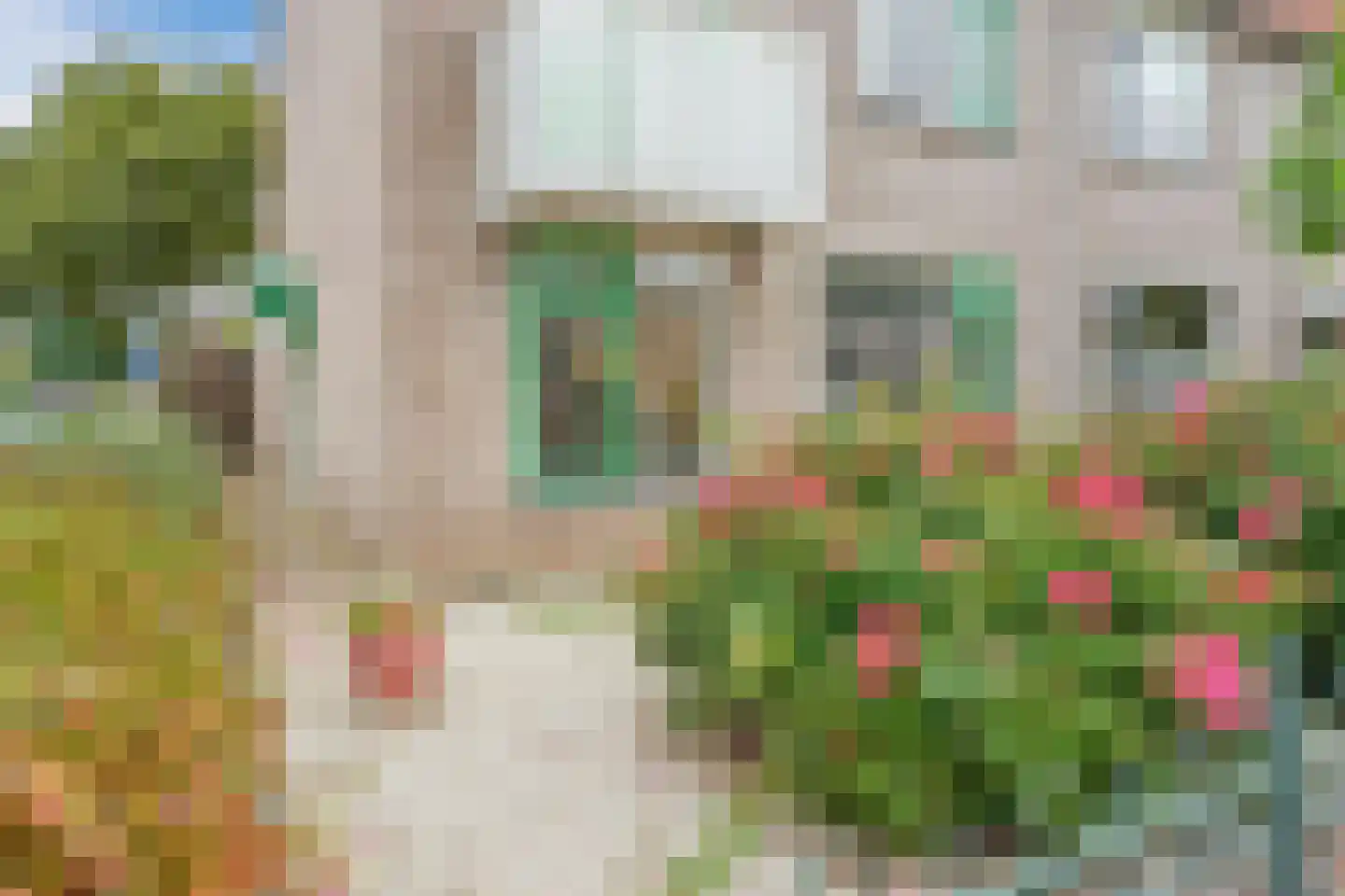 Paradijsvogel 54 Heerhugowaard thumbnail 8