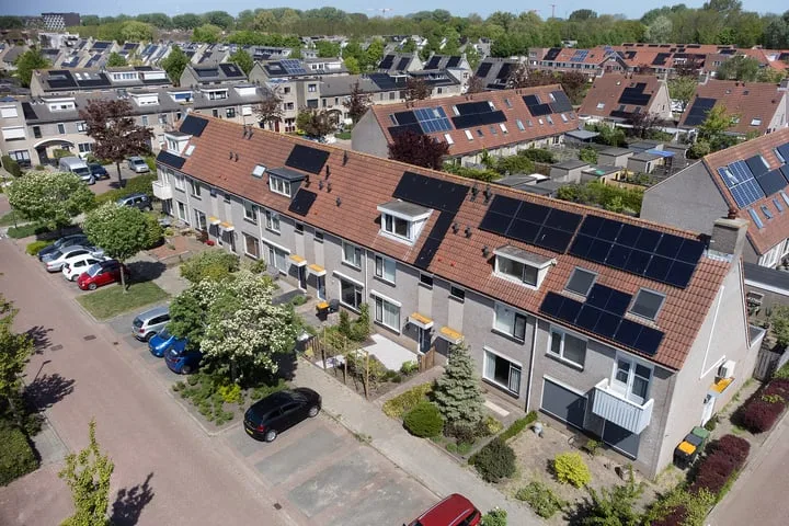 Paradijsvogel 58 Heerhugowaard foto 2