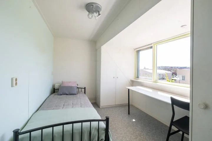 Paradijsvogel 58 Heerhugowaard thumbnail 23