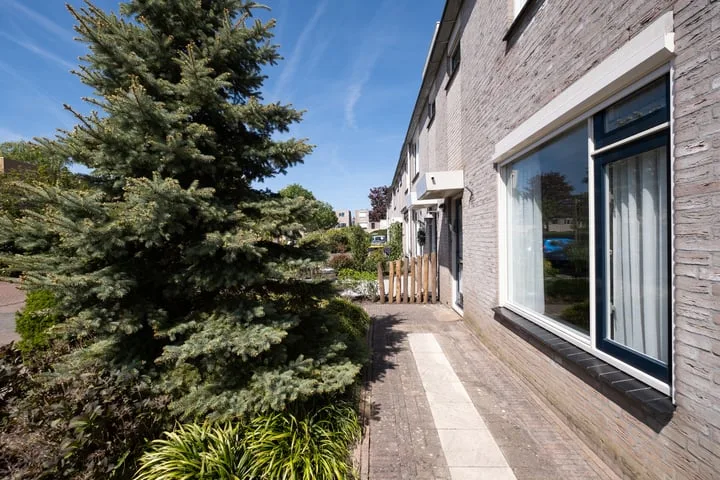 Paradijsvogel 58 Heerhugowaard thumbnail 34