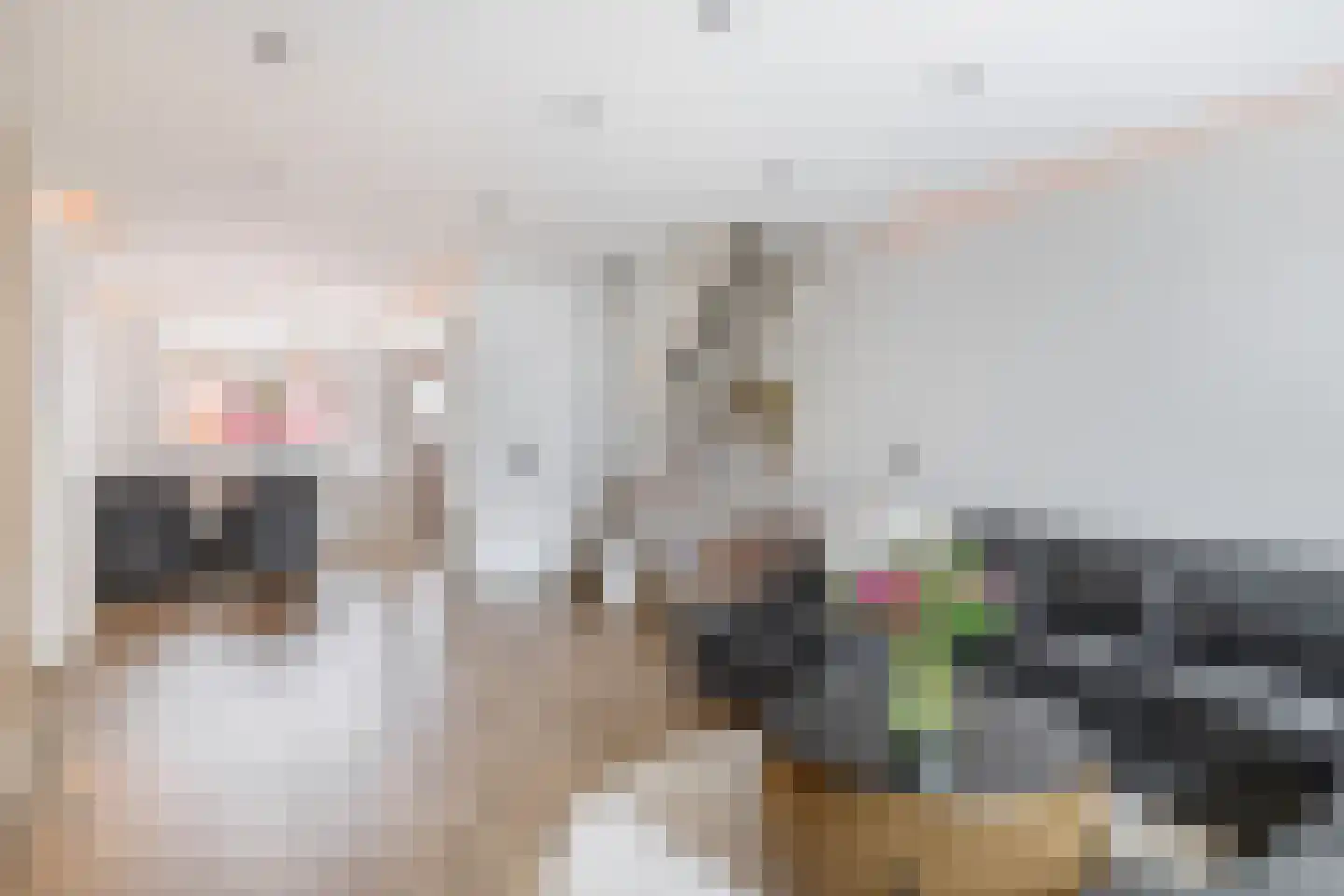 Paradijsvogelhoek 22 Spijkenisse thumbnail 10