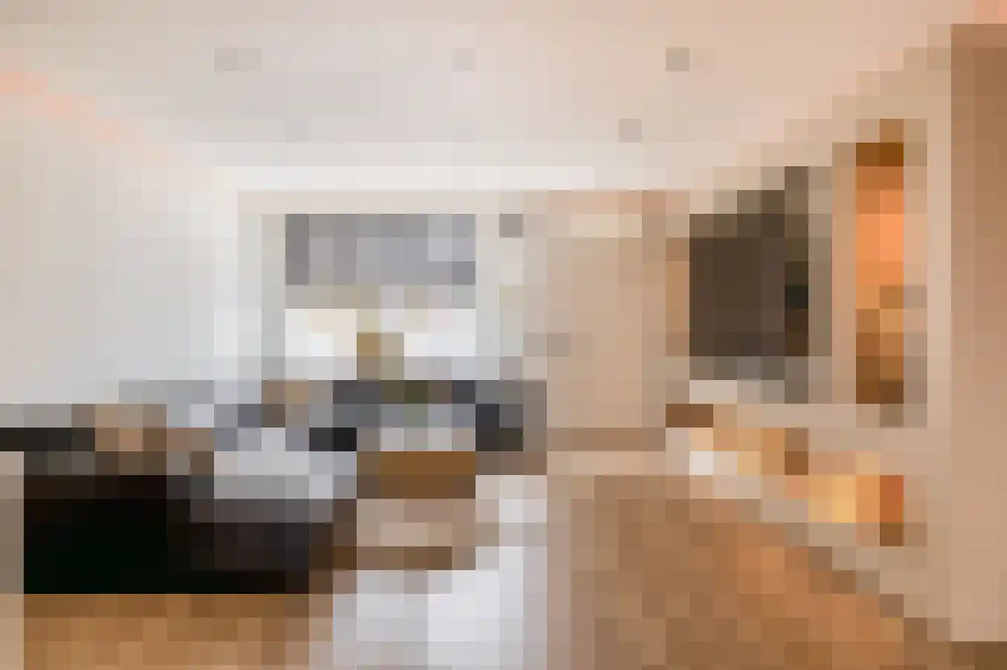 Paradijsvogelhoek 22 Spijkenisse thumbnail 11