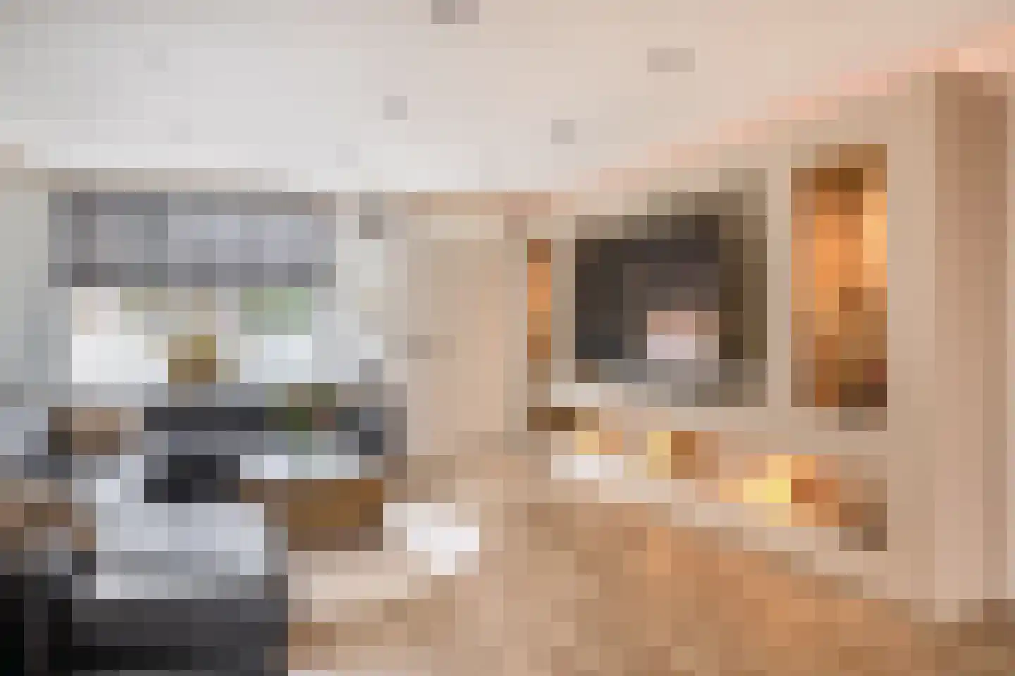 Paradijsvogelhoek 22 Spijkenisse thumbnail 12