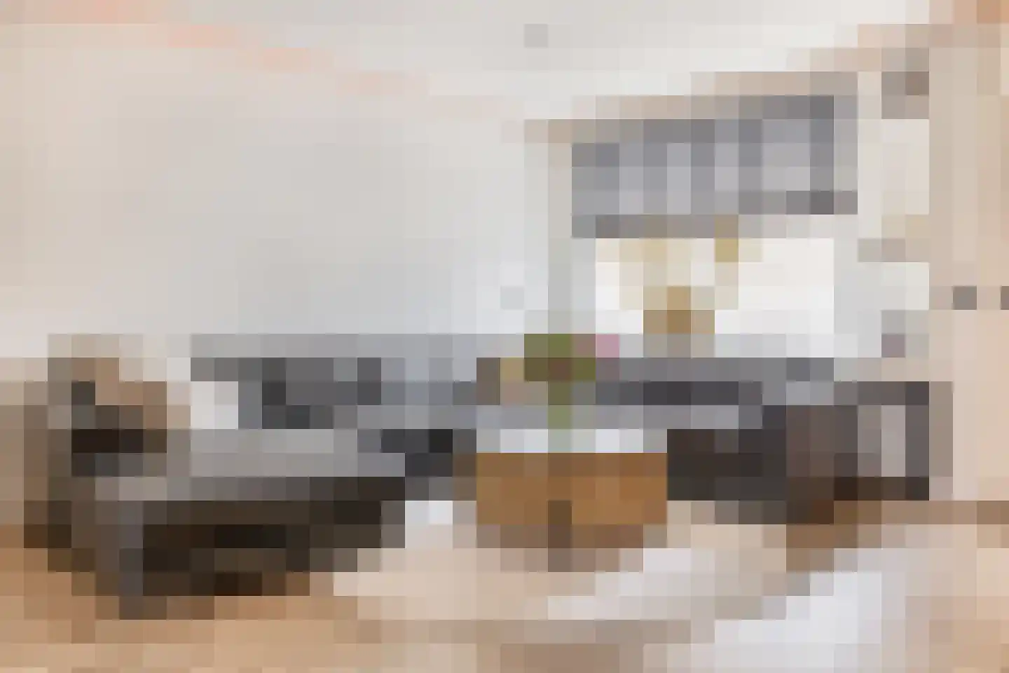 Paradijsvogelhoek 22 Spijkenisse thumbnail 13