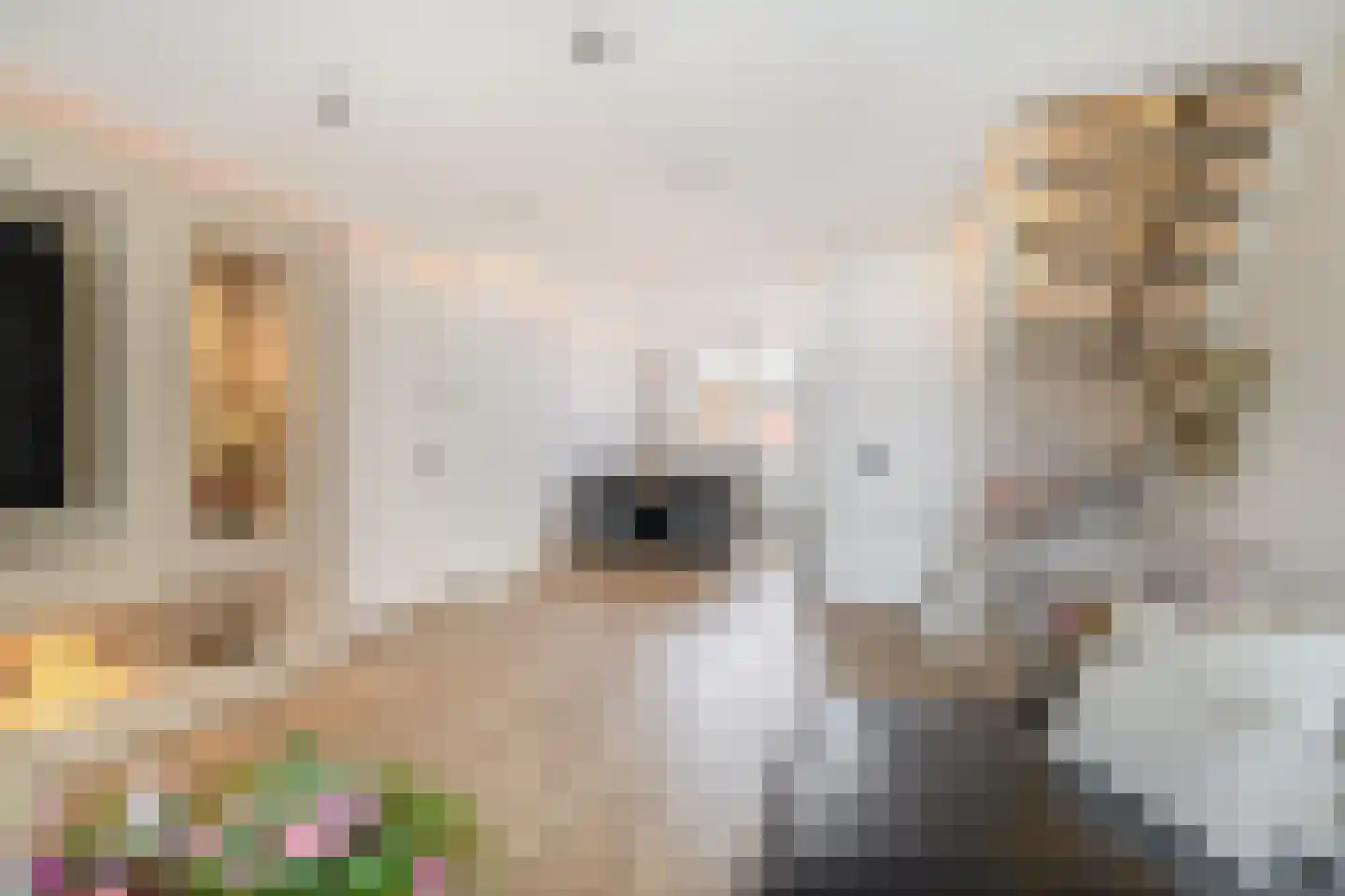 Paradijsvogelhoek 22 Spijkenisse thumbnail 15