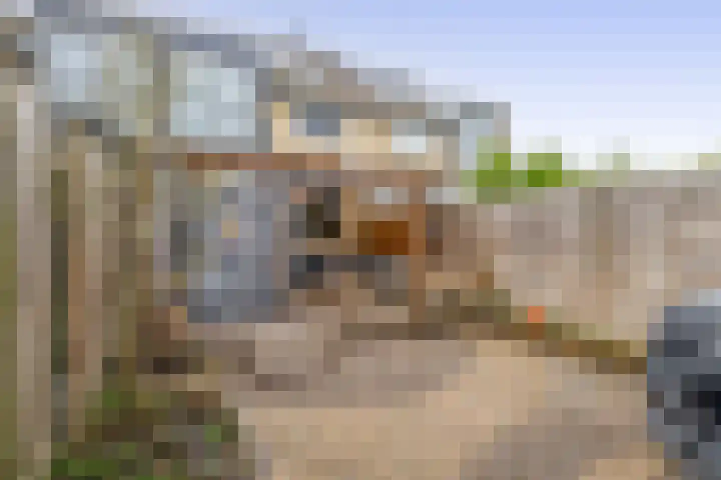 Paradijsvogelhoek 22 Spijkenisse thumbnail 24