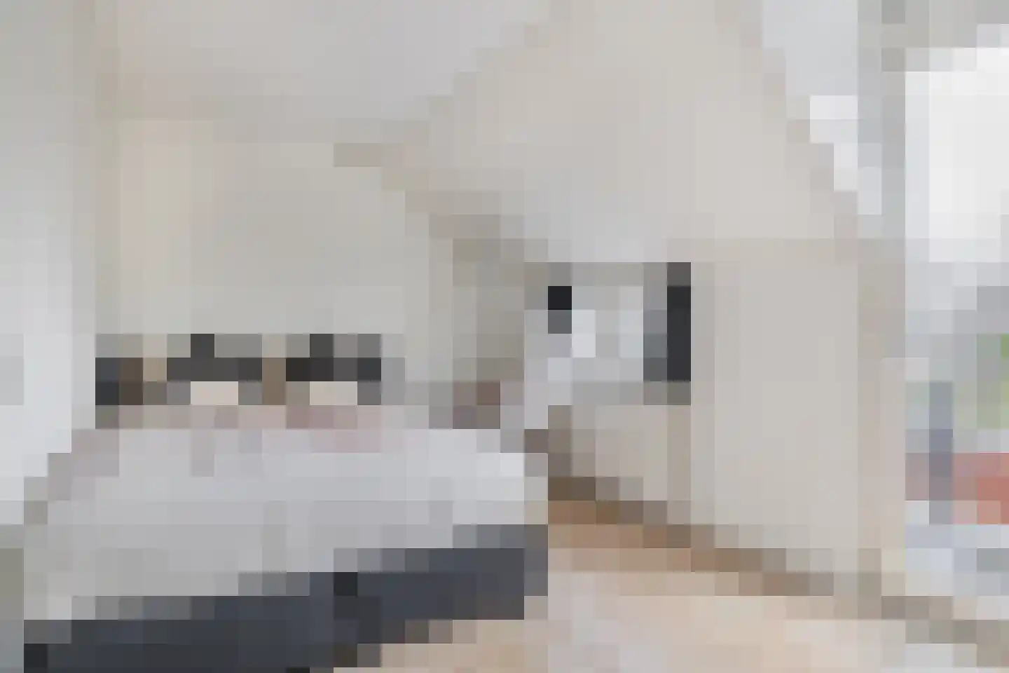 Paradijsvogelhoek 22 Spijkenisse thumbnail 27