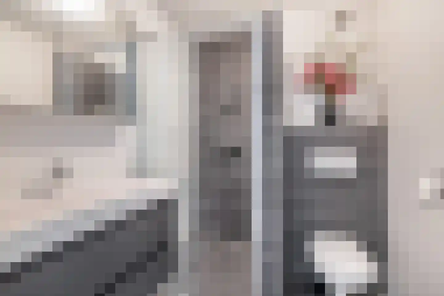 Paradijsvogelhoek 22 Spijkenisse thumbnail 30