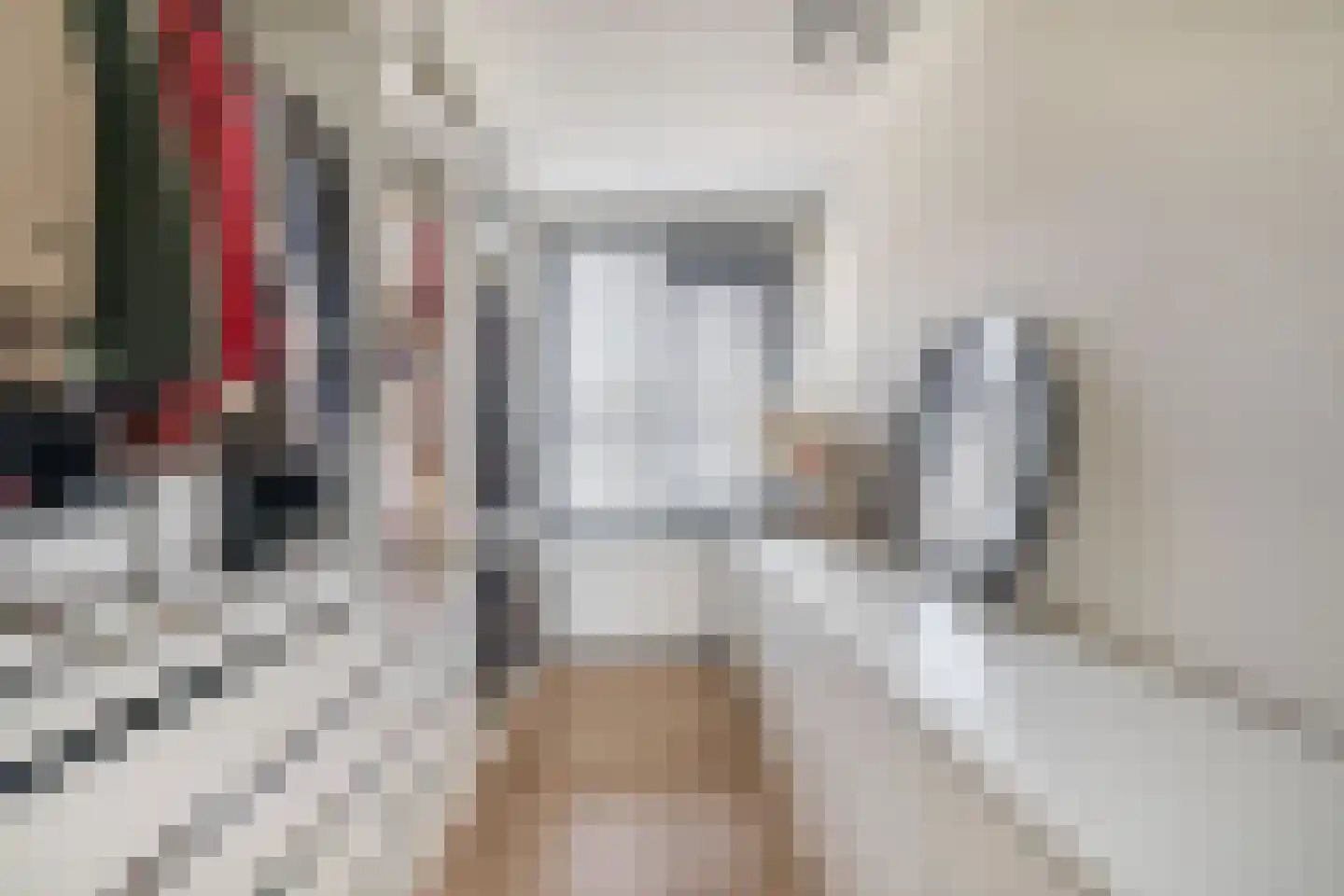 Paradijsvogelhoek 22 Spijkenisse thumbnail 32