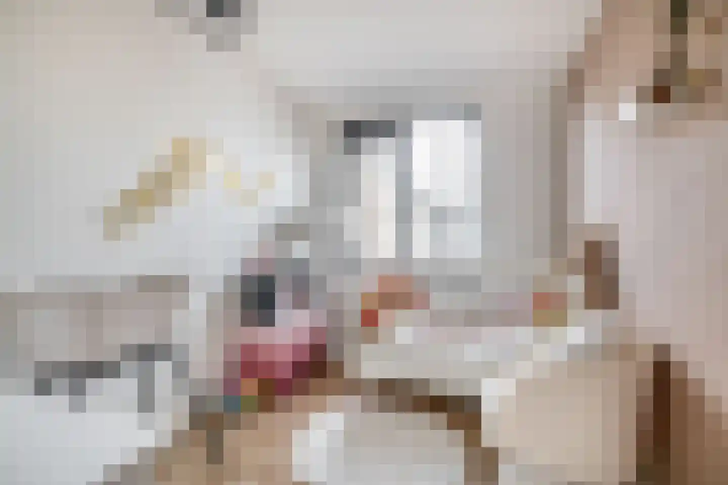 Paradijsvogelhoek 22 Spijkenisse thumbnail 33
