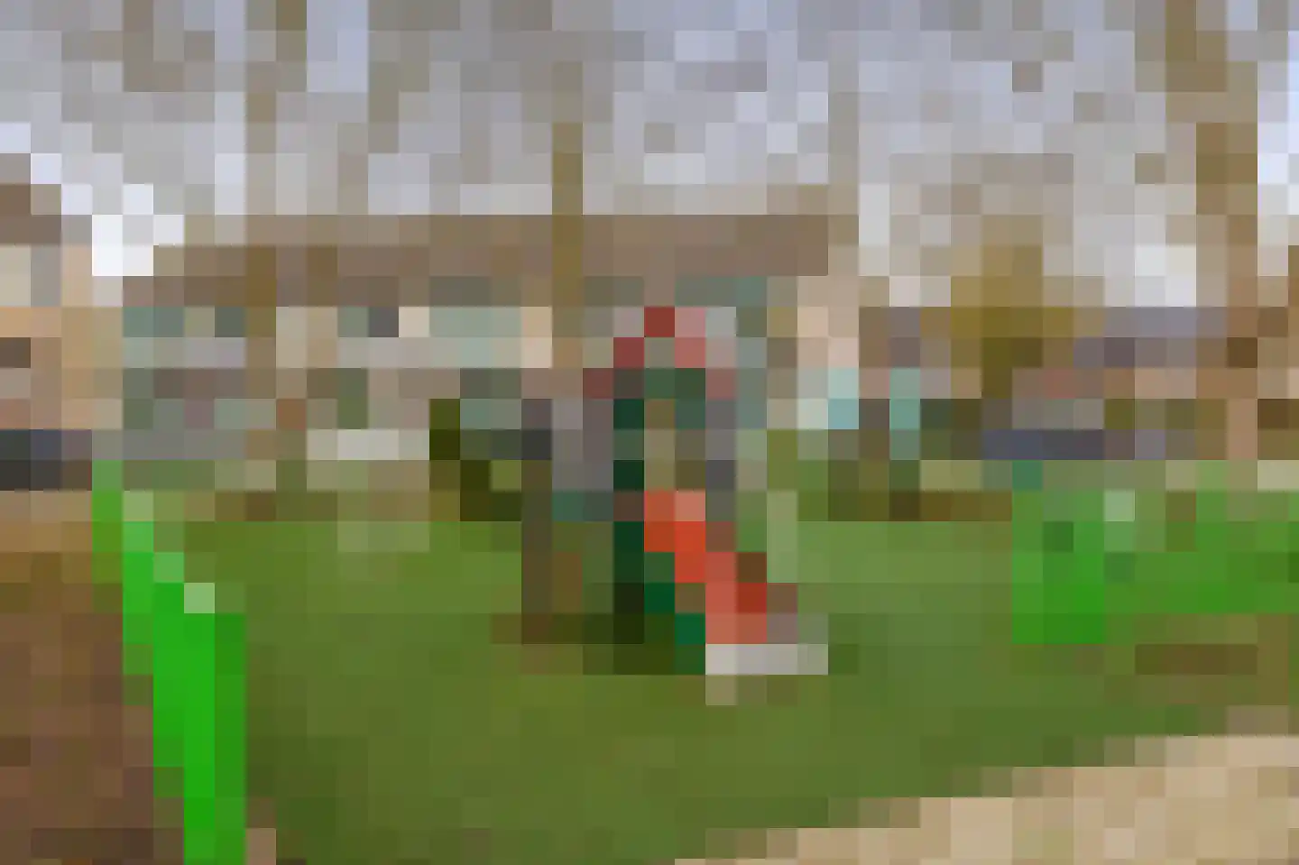 Paradijsvogelhoek 22 Spijkenisse thumbnail 36