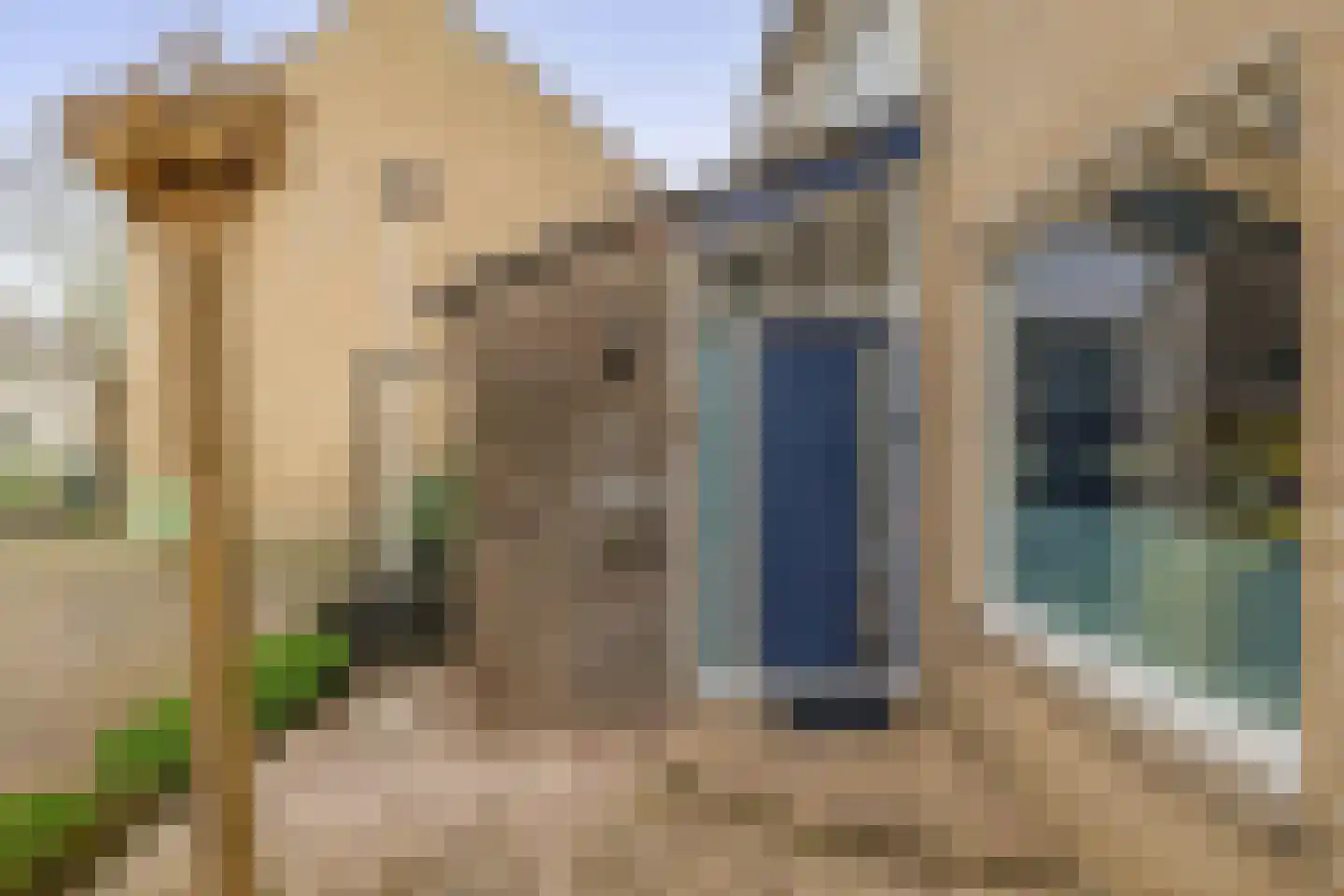 Paradijsvogelhoek 22 Spijkenisse thumbnail 8