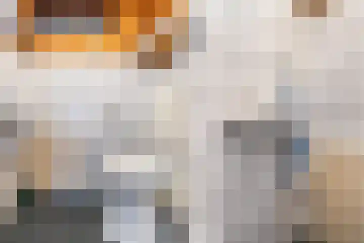 Paradijsvogelhoek 30 Spijkenisse thumbnail 10