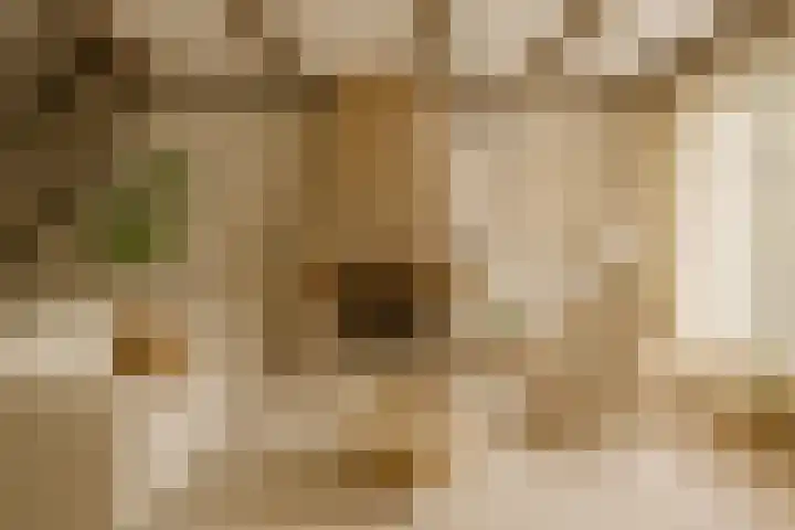 Paradijsvogelhoek 30 Spijkenisse thumbnail 13