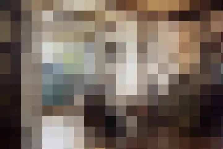 Paradijsvogelhoek 30 Spijkenisse thumbnail 18