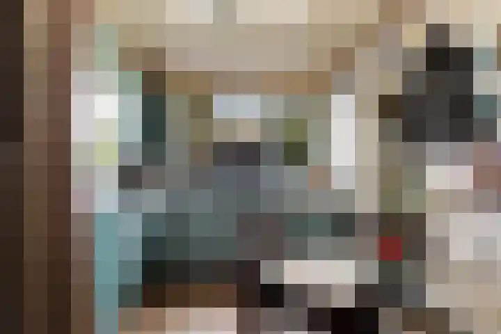 Paradijsvogelhoek 30 Spijkenisse thumbnail 21