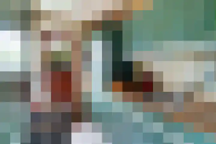 Paradijsvogelhoek 30 Spijkenisse thumbnail 23