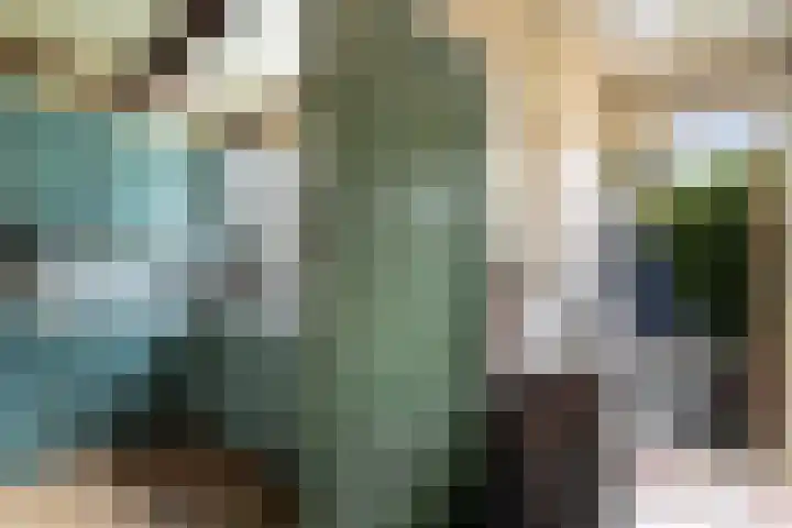 Paradijsvogelhoek 30 Spijkenisse thumbnail 24