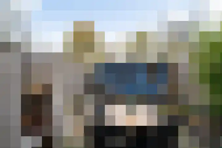 Paradijsvogelhoek 30 Spijkenisse thumbnail 25