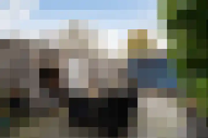 Paradijsvogelhoek 30 Spijkenisse thumbnail 26
