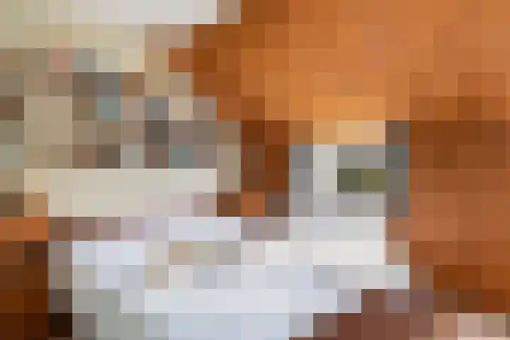 Paradijsvogelhoek 30 Spijkenisse thumbnail 30