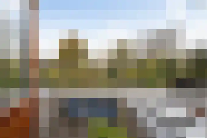 Paradijsvogelhoek 30 Spijkenisse thumbnail 33
