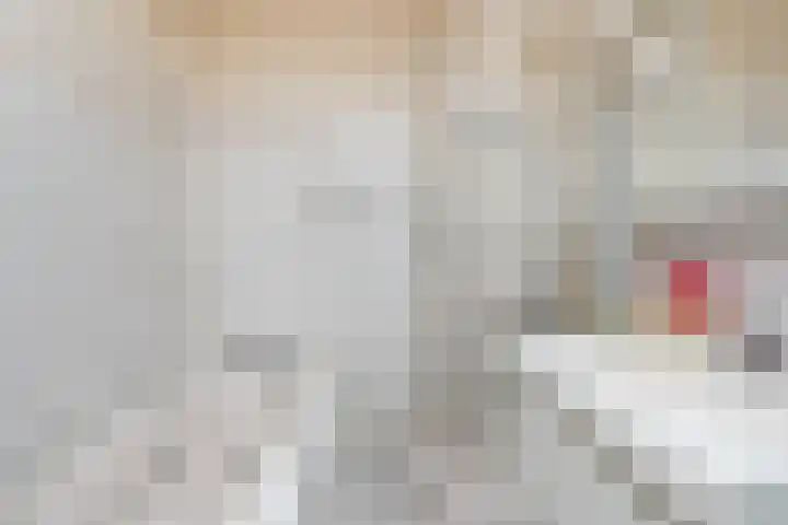 Paradijsvogelhoek 30 Spijkenisse thumbnail 35