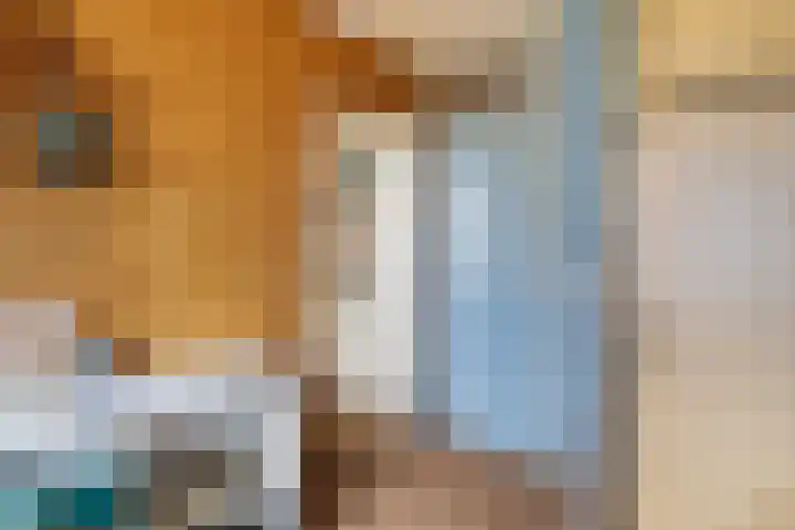 Paradijsvogelhoek 30 Spijkenisse thumbnail 37
