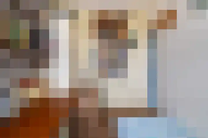 Paradijsvogelhoek 30 Spijkenisse thumbnail 41
