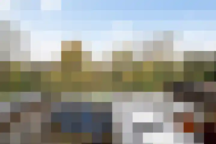 Paradijsvogelhoek 30 Spijkenisse thumbnail 46