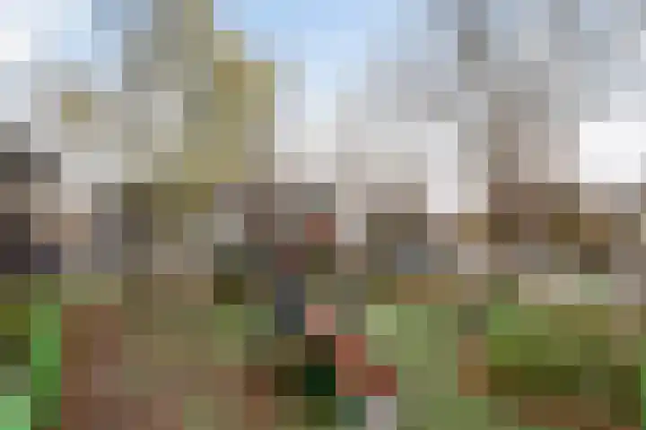 Paradijsvogelhoek 30 Spijkenisse thumbnail 47