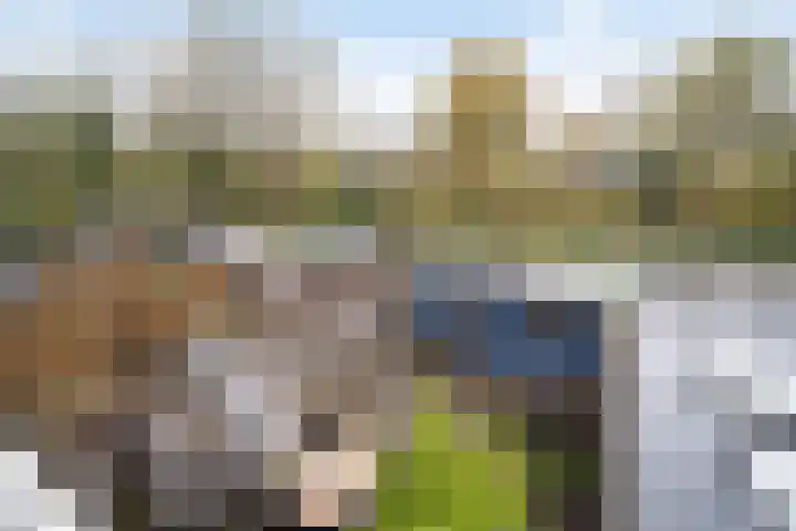 Paradijsvogelhoek 30 Spijkenisse thumbnail 6