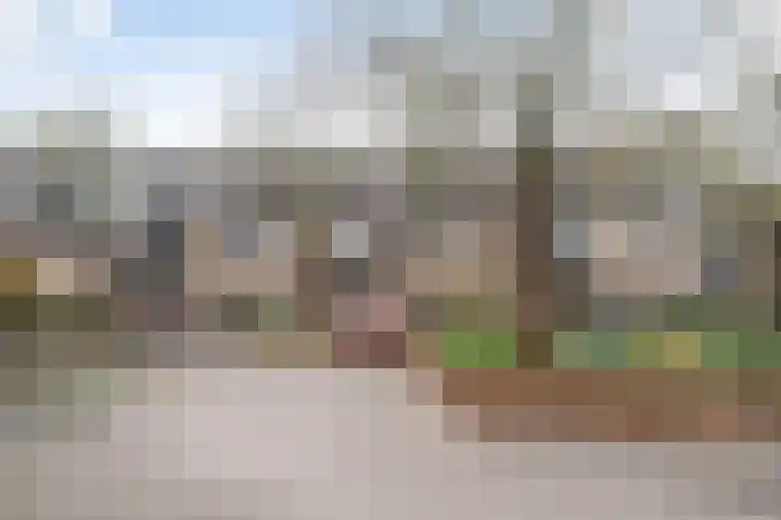 Paradijsvogelhoek 30 Spijkenisse thumbnail 7