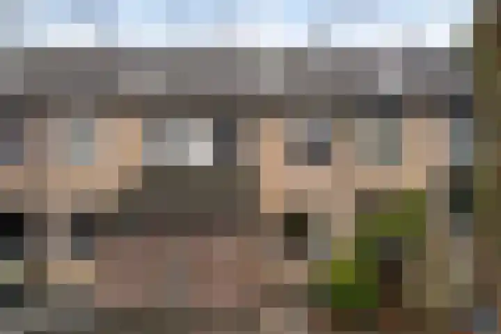Paradijsvogelhoek 30 Spijkenisse thumbnail 8