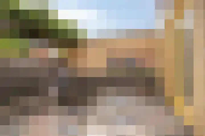 Paradijsvogelhof 11 Hilversum thumbnail 10