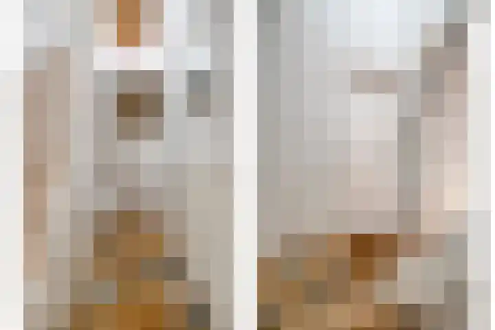 Paradijsvogelhof 11 Hilversum thumbnail 11